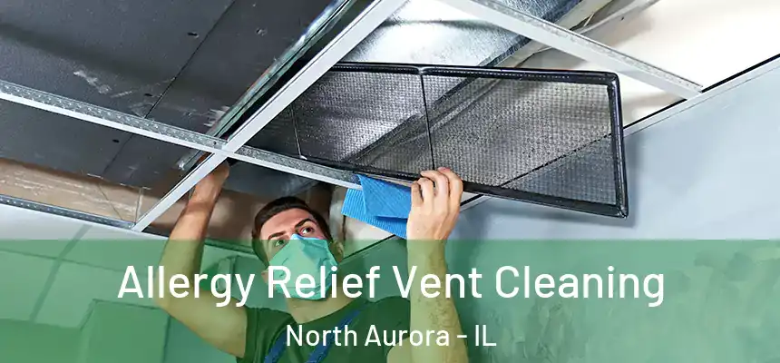  Allergy Relief Vent Cleaning North Aurora - IL