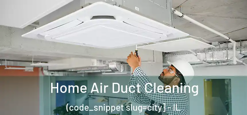  Home Air Duct Cleaning (code_snippet slug=city] - IL