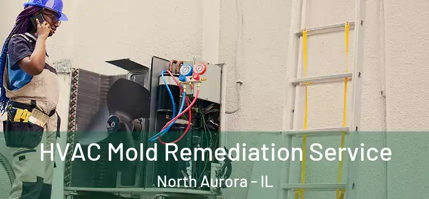  HVAC Mold Remediation Service North Aurora - IL