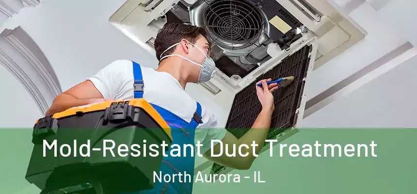 Mold-Resistant Duct Treatment North Aurora - IL