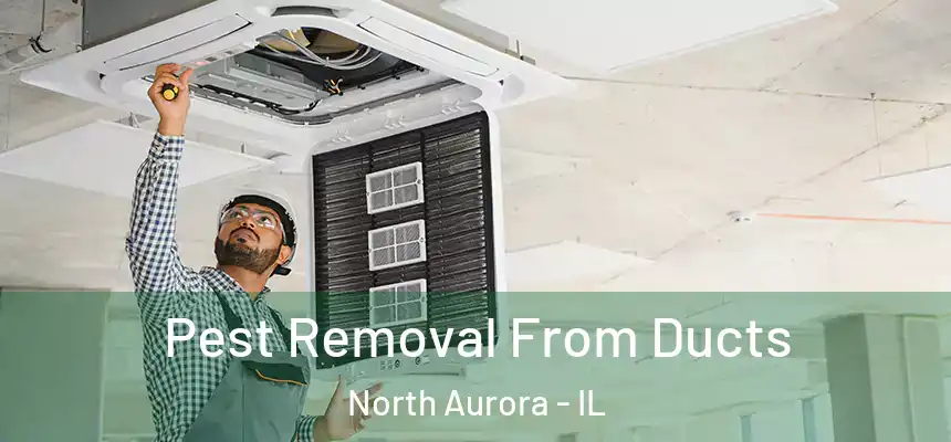 Pest Removal From Ducts North Aurora - IL