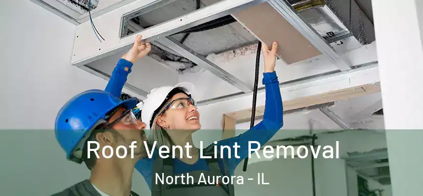  Roof Vent Lint Removal North Aurora - IL