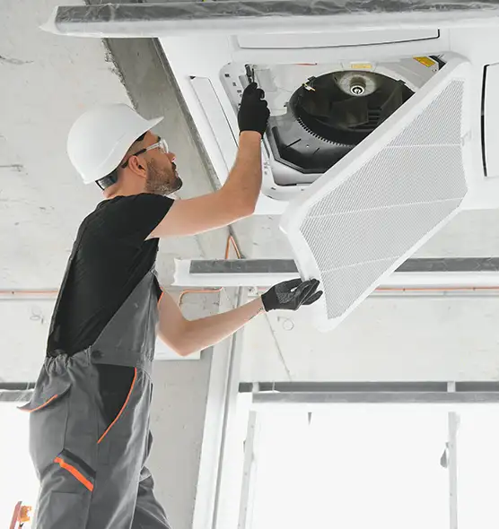 About Air Duct Rodent Removal in North Aurora, IL