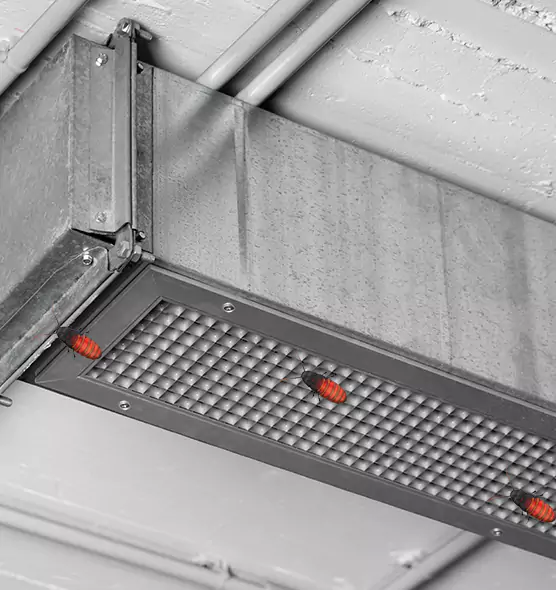 Affordable Insect Removal from Air Ducts in North Aurora, IL