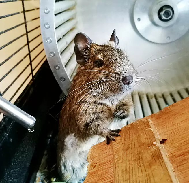 Why Homeowners & Businesses Trust Us North Aurora, IL